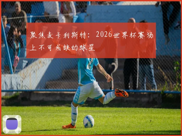 聚焦麦卡利斯特：2026世界杯赛场上不可或缺的球星
